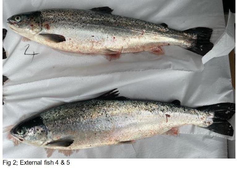 Greanem blog Aug 2022 #44 photos Greanem blog Aug 2022 #44 photos