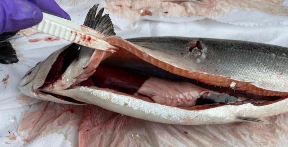 Greanem blog Aug 2022 #47 photos Greanem blog Aug 2022 #47 photos