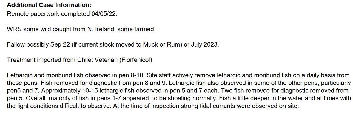 Linnhe blog Aug 2022 #4 Linnhe blog Aug 2022 #4