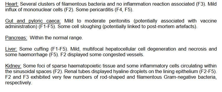 Linnhe blog Aug 2022 #16 Linnhe blog Aug 2022 #16