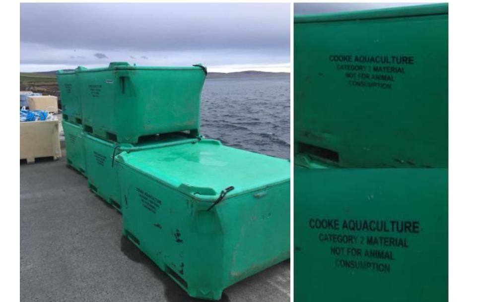 East Mocklett blog Aug 2022 #12