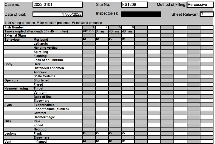 Ouseness FHI May 2022 #8