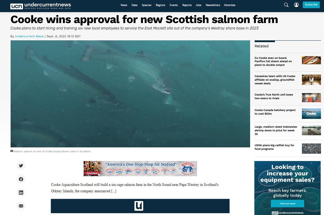 Undercurrent News 8 Sep 2022