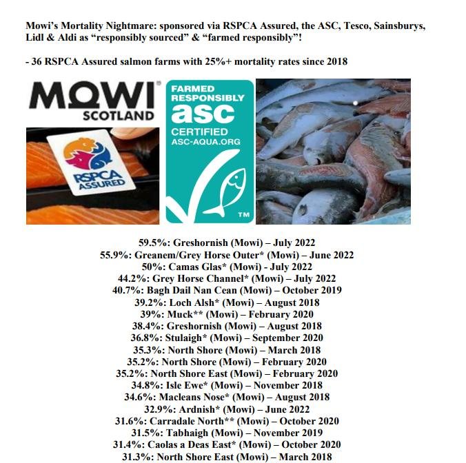 Media Backgrounder Year of the Dead Salmon September 2022 #8