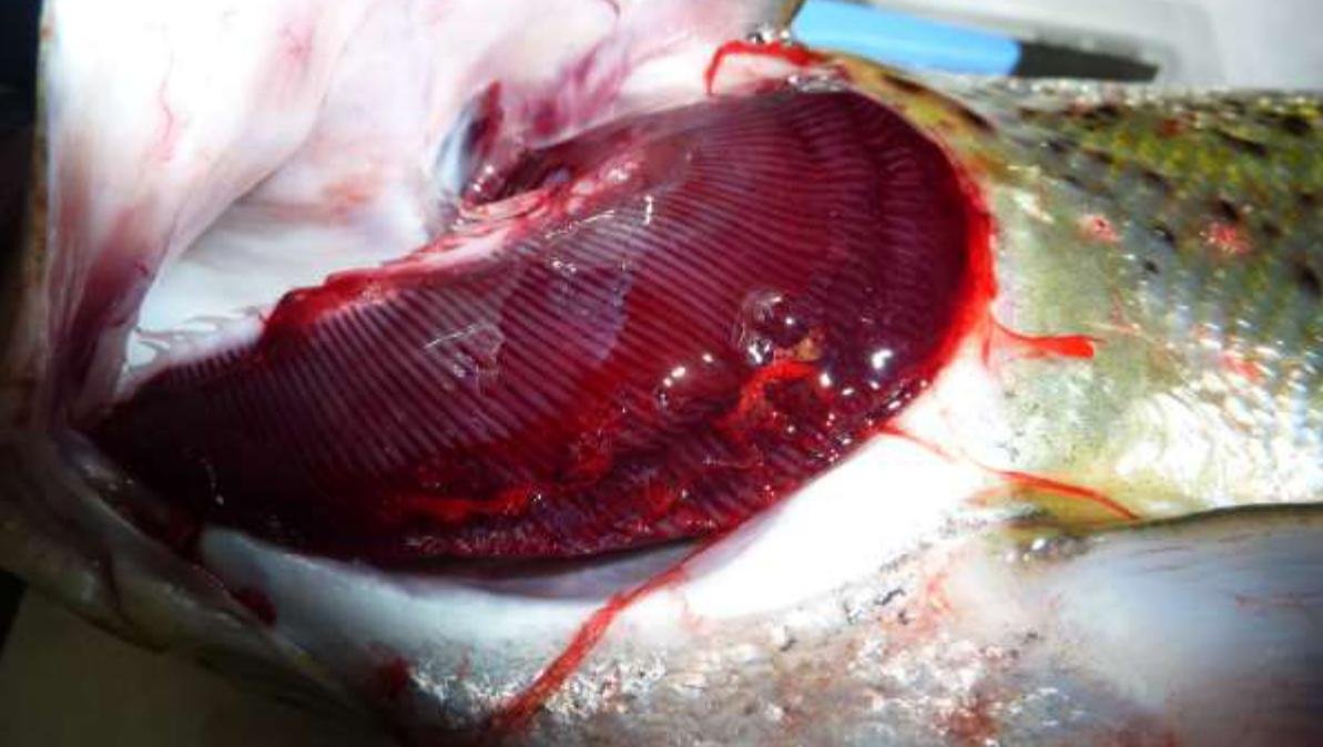 Blog Sept 2022 #14 Landcatch ISA Blog Sept 2022 #14 Landcatch ISA