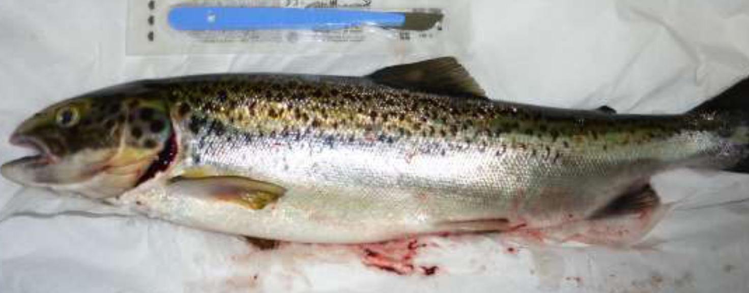 Blog Sept 2022 #17 Landcatch ISA Blog Sept 2022 #17 Landcatch ISA