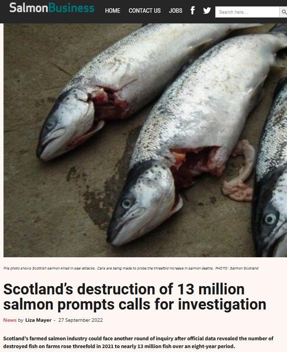 Salmon Business 27 Sept 2022