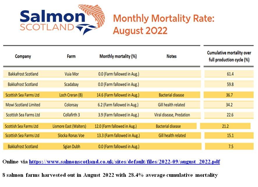 Aug 2022 #1 Aug 2022 #1