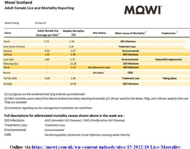 Lice & Mort reporting 25 Sept 2022 Marulaig Bay 21% mortality