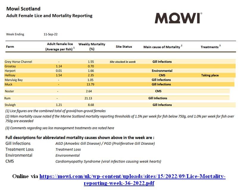 Lice & Mort reporting 11 Sept 2022 Rum 21% mortality
