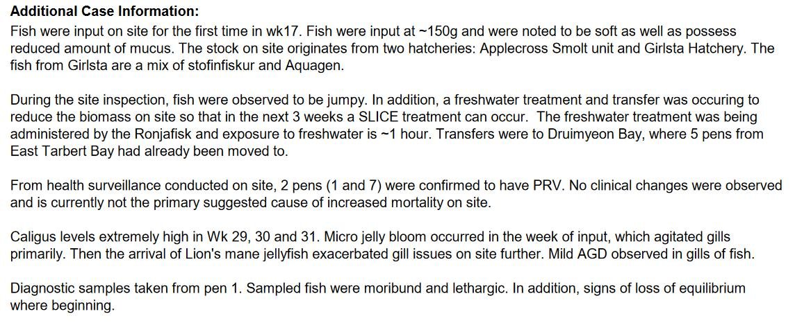 East Tarbert FHI Aug 2022 #2 East Tarbert FHI Aug 2022 #2