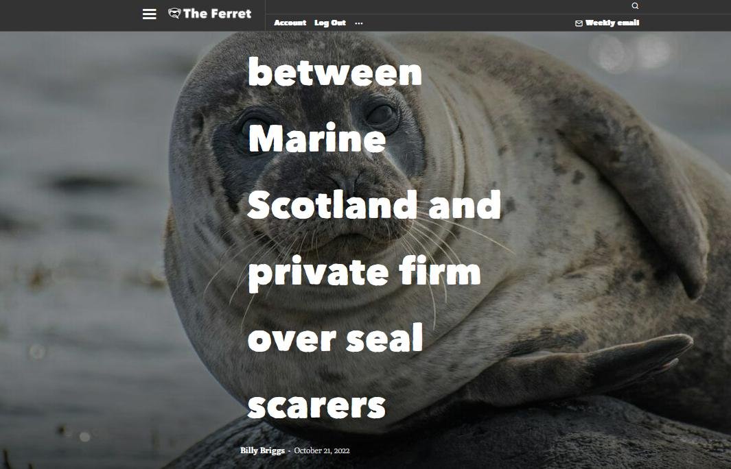 Ferret ADD TSSC Oct 2022 #1 Ferret ADD TSSC Oct 2022 #1