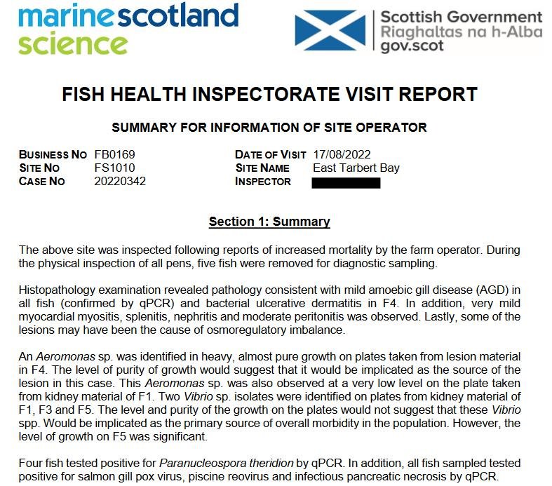 East Tarbert FHI Aug 2022 #8 East Tarbert FHI Aug 2022 #8