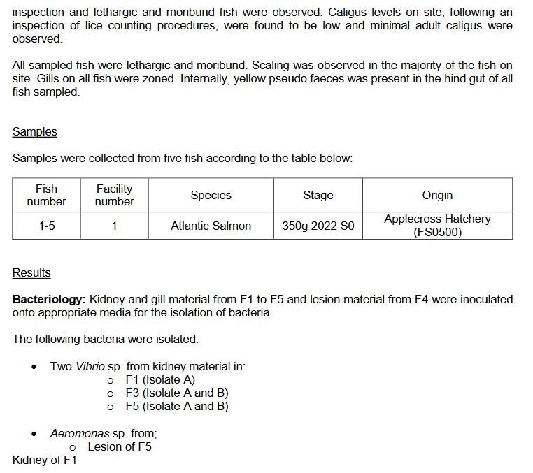 East Tarbert FHI Aug 2022 #10 East Tarbert FHI Aug 2022 #10