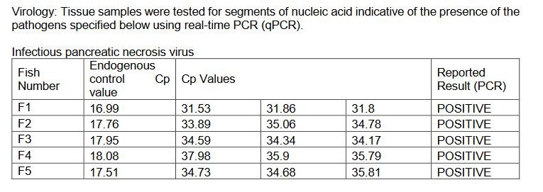 East Tarbert FHI Aug 2022 #11 East Tarbert FHI Aug 2022 #11