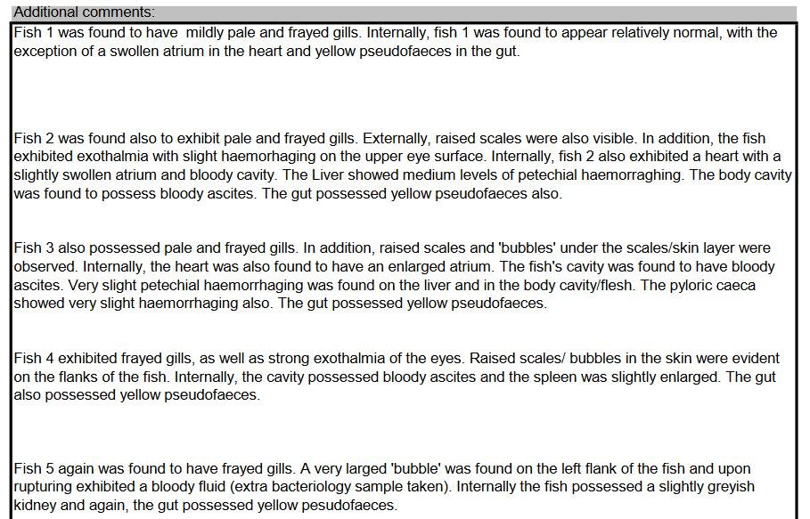 Creran FHI 18 July 2022 #8 Creran FHI 18 July 2022 #8