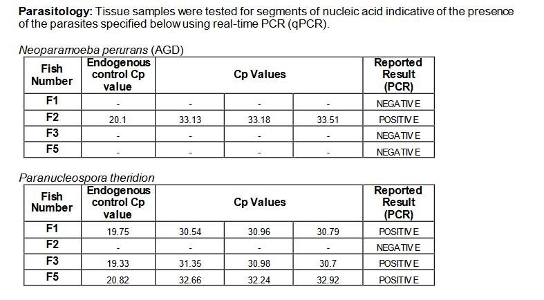 Creran FHI 18 July 2022 #21 visit report Creran FHI 18 July 2022 #21 visit report