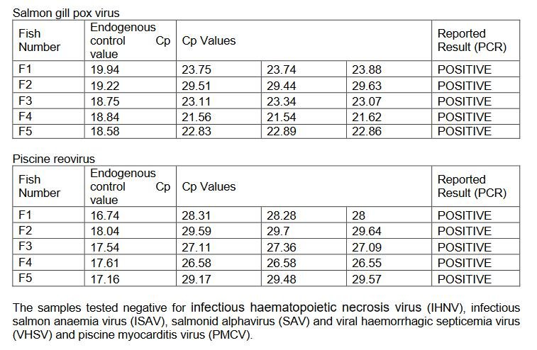 East Tarbert FHI Aug 2022 #12 East Tarbert FHI Aug 2022 #12