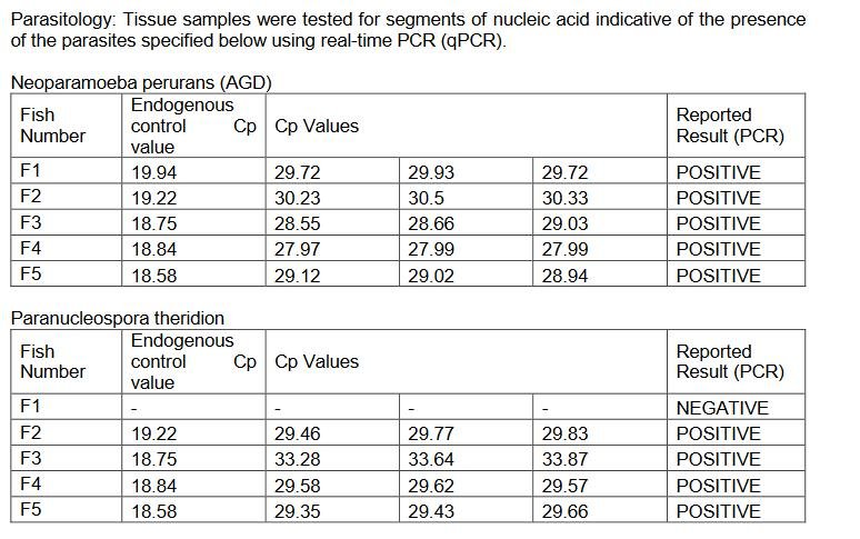 East Tarbert FHI Aug 2022 #13 East Tarbert FHI Aug 2022 #13