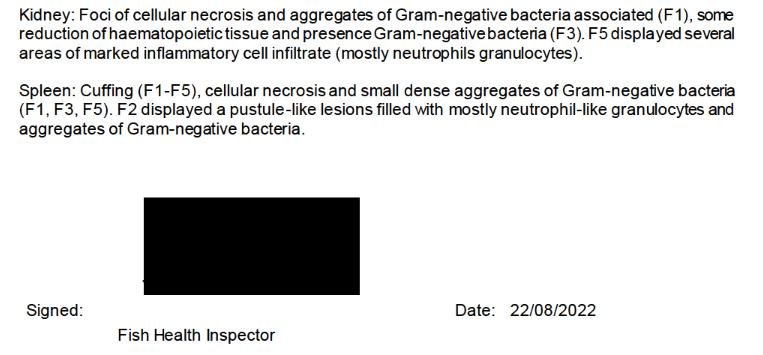 Creran FHI 18 July 2022 #23 visit report Creran FHI 18 July 2022 #23 visit report