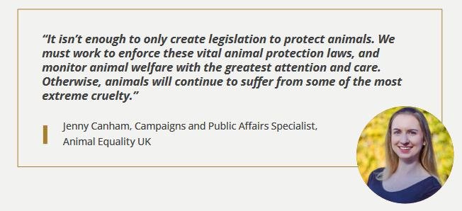 Animal Law report Nov 2022 #15 Animal Law report Nov 2022 #15