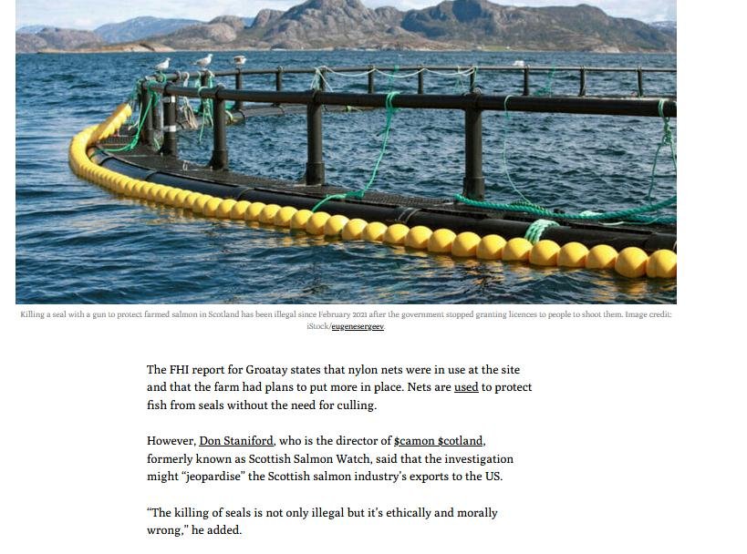 Ferret 1 December 2022 #4