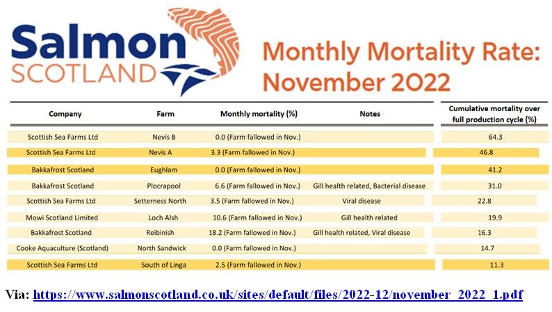 Salmon Scotland Nov 2022 #5 cumulative headed by 64% Nevis Salmon Scotland Nov 2022 #5 cumulative headed by 64% Nevis