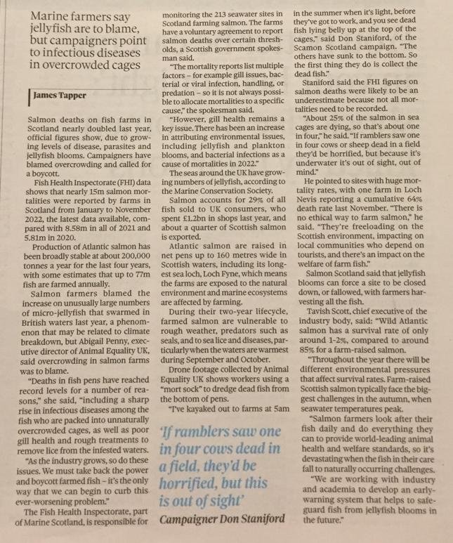 Observer 15 January 2023 #4 newspaper text of article