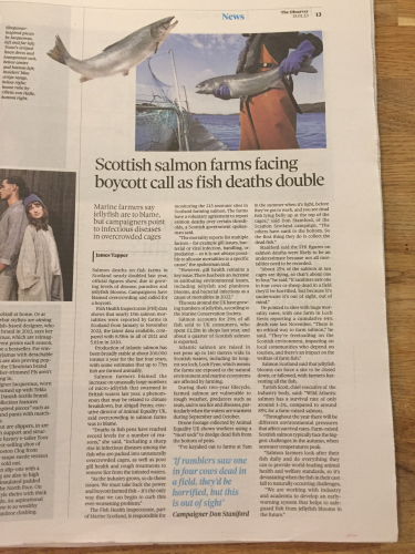 Observer 15 January 2023 #2 in full on kitchen table 