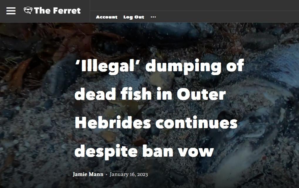 Ferret 16 Jan 2023 #1