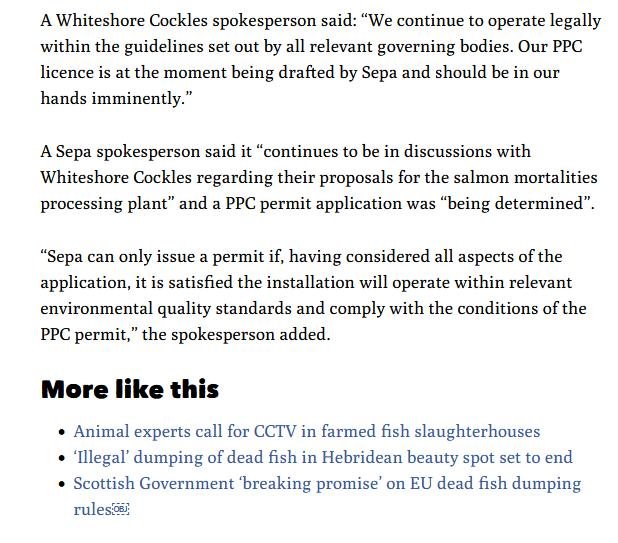 Ferret 16 Jan 2023 #8