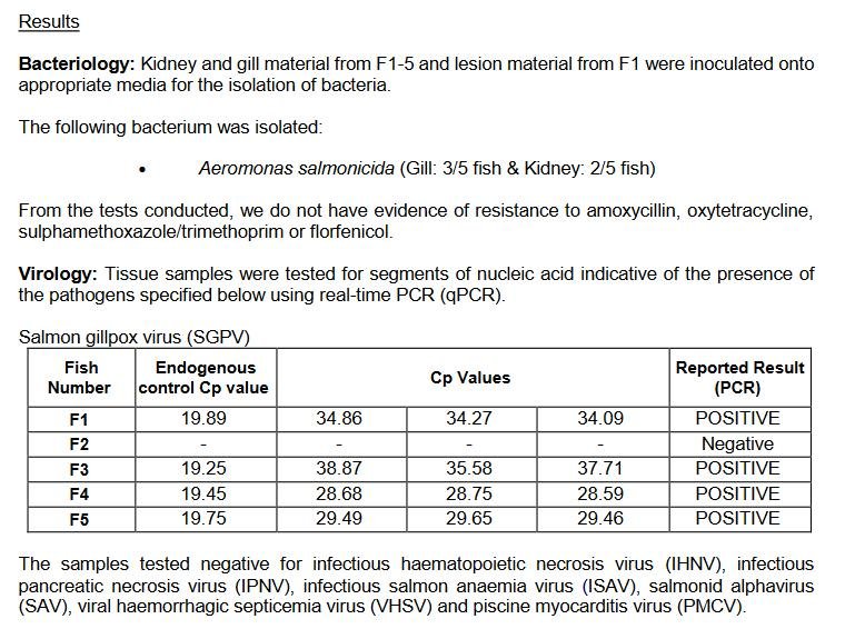 FHI Nevis Nov 2022 #13 inspection report FHI Nevis Nov 2022 #13 inspection report