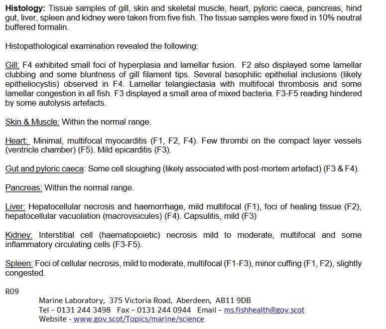 FHI Nevis Nov 2022 #15 inspection report FHI Nevis Nov 2022 #15 inspection report