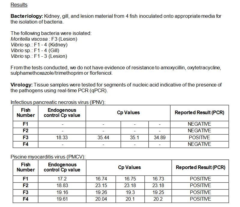 Vee Taing FHI April 2022 #8 Vee Taing FHI April 2022 #8