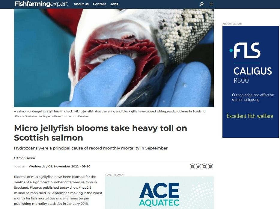 Sept 2022 Salmon Scotland mortality data #7 FFE