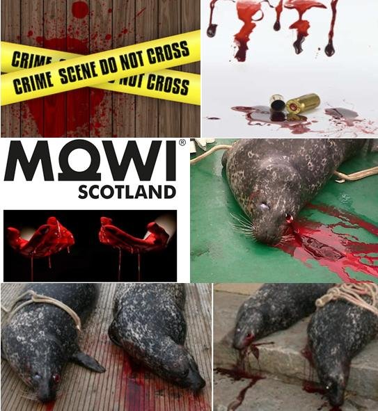 Groatay illegal seal July 2022 #12 crime scene Groatay illegal seal July 2022 #12 crime scene