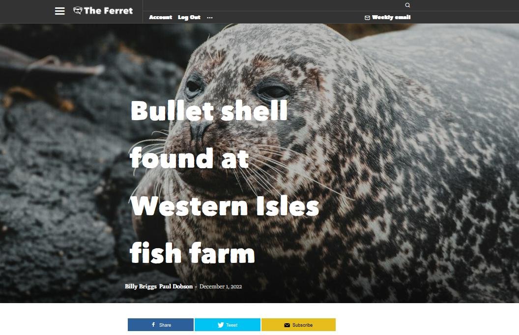 Ferret 1 December 2022 #1