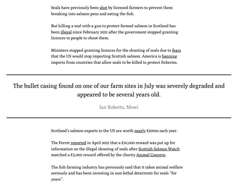 Ferret 1 December 2022 #3