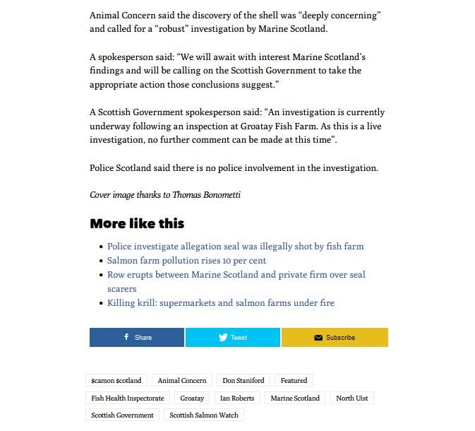 Ferret 1 December 2022 #5