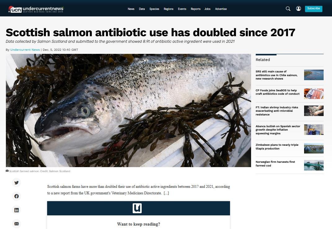 Undercurrent News 5 Dec 2022