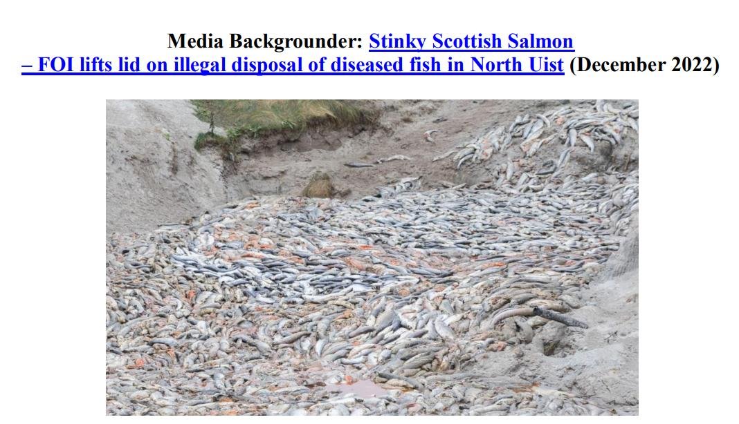 FOI Dossier on Whiteshore Cockles December 2022 #1