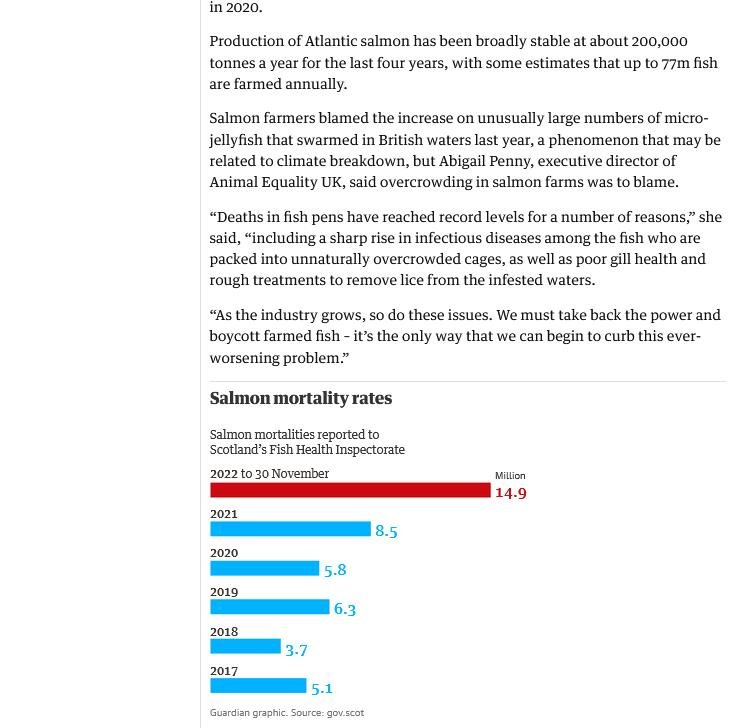 Observer online version 15 January 2023 #2