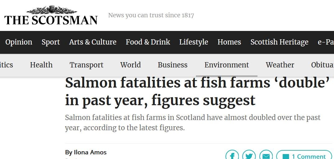 Scotsman 16 Jan 2023 #1 Scotsman 16 Jan 2023 #1