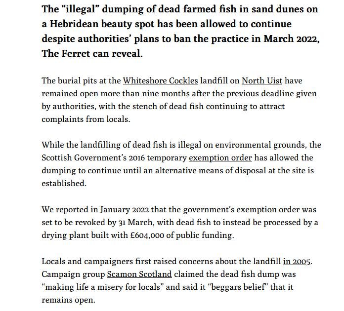 Ferret 16 Jan 2023 #2