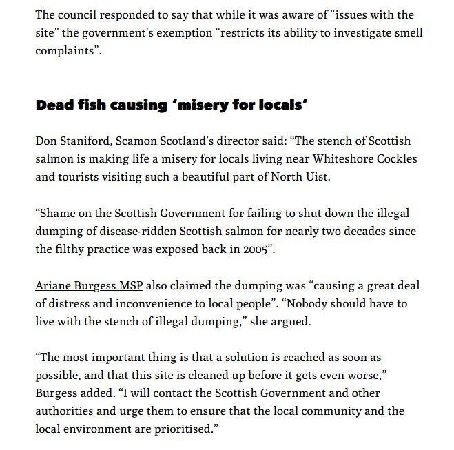 Ferret 16 Jan 2023 #6