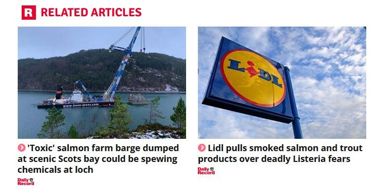 Daily Record 18 Jan 2023 #3