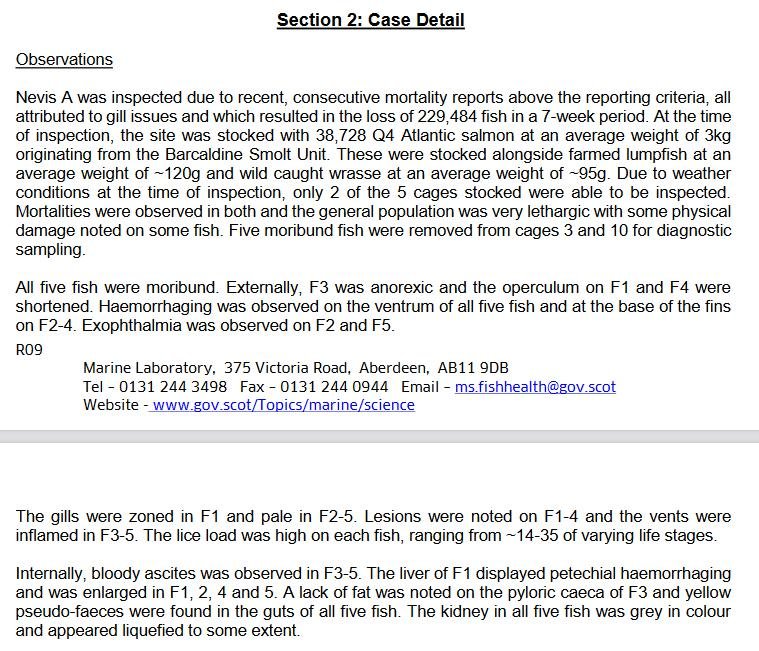 FHI Nevis Nov 2022 #12 inspection report FHI Nevis Nov 2022 #12 inspection report