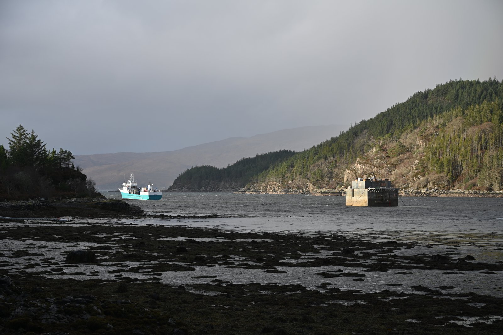 Photo 25 Jan 2023 Loch Reraig with Viking Saga near feed barge #2 Photo 25 Jan 2023 Loch Reraig with Viking Saga near feed barge #2