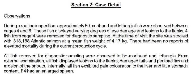 Vee Taing FHI April 2022 #7 Vee Taing FHI April 2022 #7