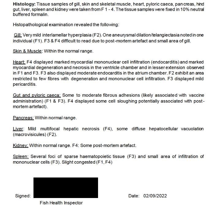 Vee Taing FHI April 2022 #9 Vee Taing FHI April 2022 #9